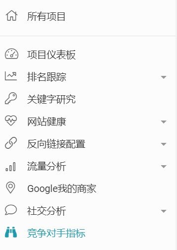 报告项目列表